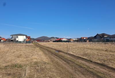 Teren Construcții intravilan de 435 mp, în Sânpetru - 7