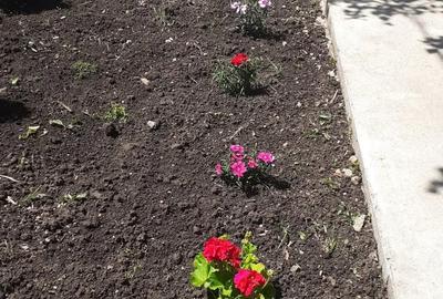 Casă cu 2 camere în Moșteni - 4