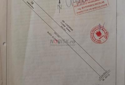 Teren Construcții intravilan de 1500 mp, în Domnești - 12