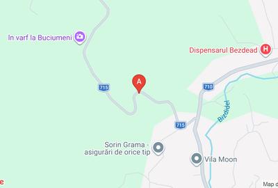 Teren agricol extravilan în Bezdead - 1