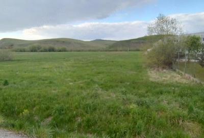 Teren de 4653 mp, în Căpușu Mare - 2