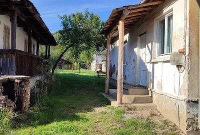 Casă cu 2 camere în Băița - 6