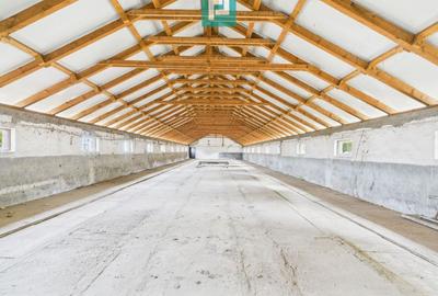 Spațiu industrial, de 765 mp, în Variaș - 10