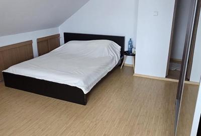 Apartament cu 2 camere semidecomandat în Tudor Vladimirescu - 7