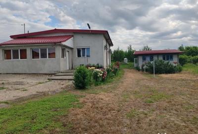 Casă cu 4 camere cu Teren 4800 Mp în Central - 14