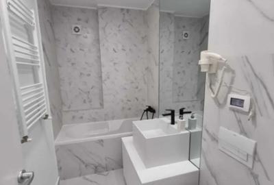 Garsonieră decomandată în Viilor - 4