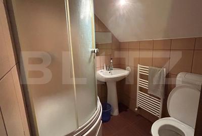 Cabana de vanzare Marisel - afacere la cheie! - 11