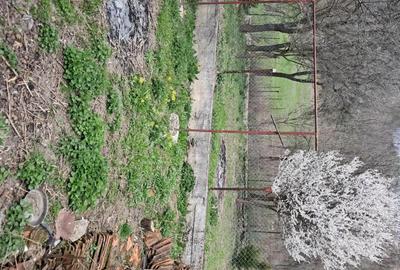 Casă cu 3 camere în Central - 1