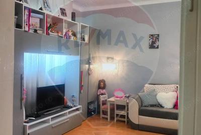 Casă cu Teren 2008 Mp în Retiș - 10