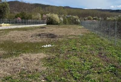 Teren de 1255 mp, în Bujoreni - 10