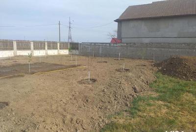 Spațiu comercial, în Lumina - 1