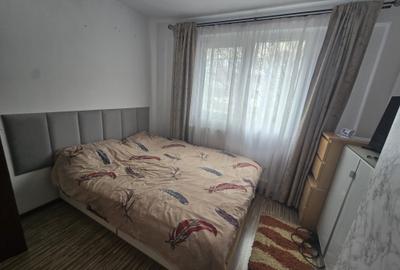 Apartament cu 2 camere decomandat, mobilat în Lujerului - 10
