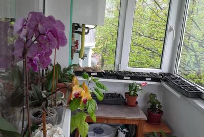Apartament cu 2 camere semidecomandat în Astra - 2
