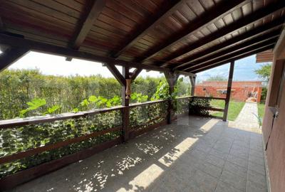 Casă cu 3 camere cu Teren 875 Mp în Botizului - 6