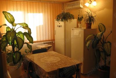 Apartament ALUNIS - 4