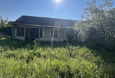 Casă cu 3 camere în Dracea - 6