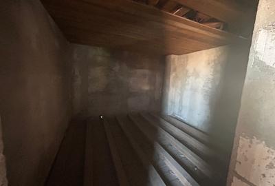 Casa P+1+M, 330 MP teren, 140 MP utili, Brestei - 9