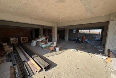 Spatiu Comercial De Vanzare sau De Inchiriat . Pacurari - Rediu Lac . Direct Dezvoltator - 1