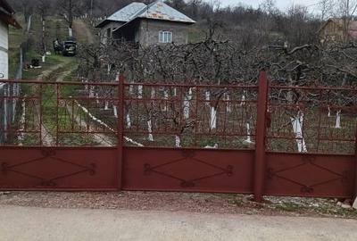 Casă individuală cu 2 camere cu Teren 2800 Mp în Boțești - 1