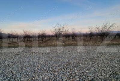 Teren de 760 mp, în Hărman - 2