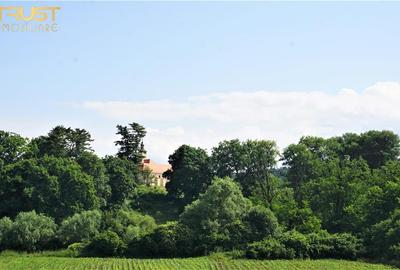 Teren agricol intravilan de 13725 mp, în Posmuș - 16