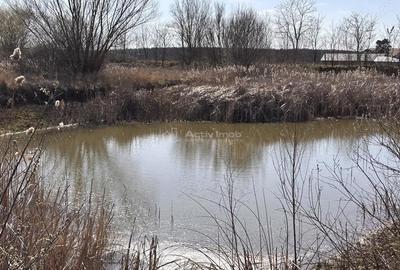 Spațiu comercial, în Păușa - 19