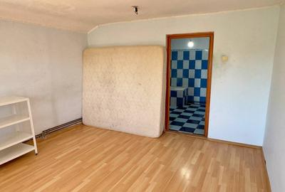 Casa individuala Snagov, doua garaje, necesita renovare ! - 14
