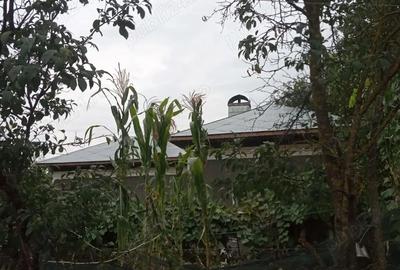 Casă cu 3 camere în Putineiu - 1