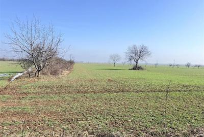 Teren Construcții intravilan de 3000 mp, în Est - 2