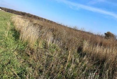 RECO Teren Intravilan Apateu - 2