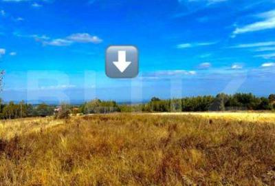 Teren de 4265 mp, în Căpușu Mare