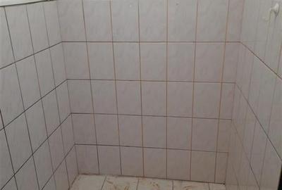 Garsoniera Parter zona Buziasului - 6