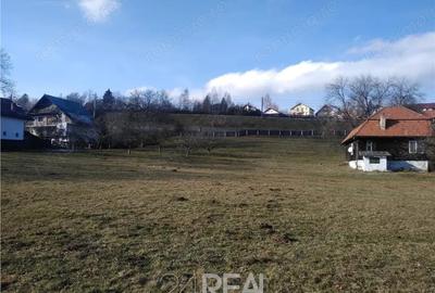 Teren de 6000 mp, în Central