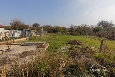 Casă spațioasă cu potențial de renovare și personalizare, în Viișoara - 3