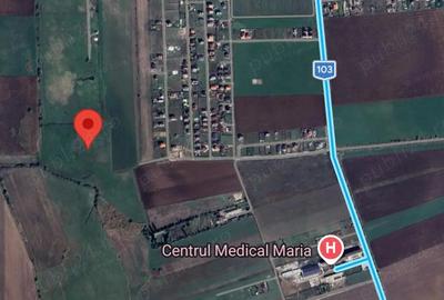 Teren de 7000 mp, în Bod - 3