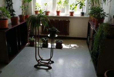 APARTAMENT 2 CAMERE CITY PARK MALL | PARCUL TABACARIEI | TERMEN LUNG | - 5