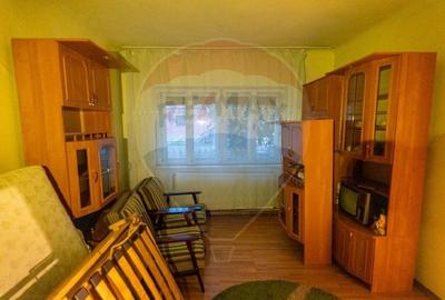 Casă individuală cu 4 camere cu Canalizare în Spini - 4