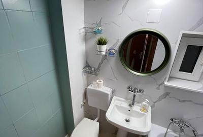 Apartament cu 2 camere, mobilat în Giurgiului - 9