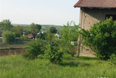 Casă cu 6 camere cu Teren 5000 Mp în Baldovinești - 5