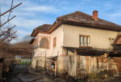 Casă cu Teren 5000 Mp în Roșia de Amaradia - 8
