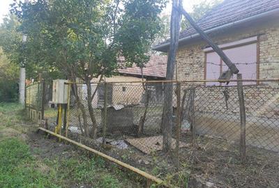 Casă cu 3 camere cu Teren 2913 Mp în Măhăceni - 2