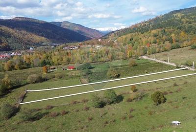 Teren de vanzare in Leresti - ideal pentru casa sau pensiune la munte - 14