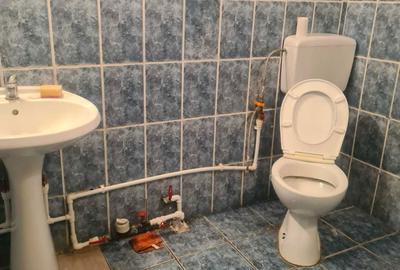 Spațiu comercial, de 80 mp, în Nicolina - 1