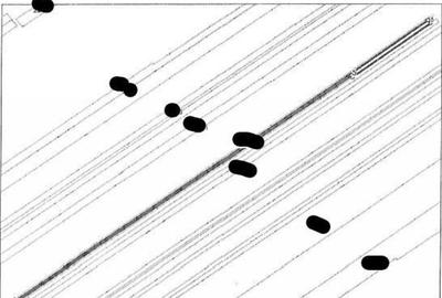 Teren extravilan Pietroasele, ID: R2586802 - 3