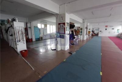 Spatiu luminos si generos disponibil imediat - 3