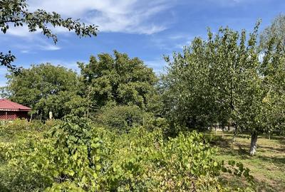 Malu, sat Butoiu Ialomita - 14