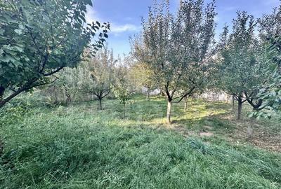 Casă specială de vânzare în Gheorgheni cu 600 mp teren - 22