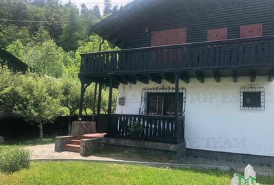 De pensiune in Sinaia - 3