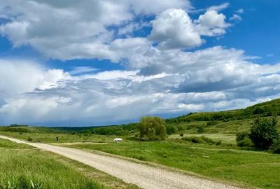 Casă cu 4 camere în Uileacu de Munte - 3