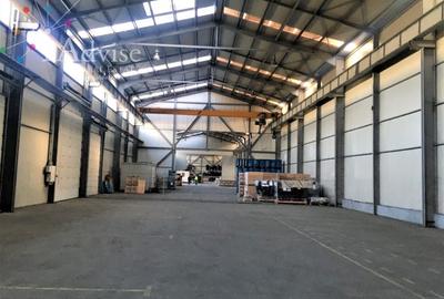 Spațiu industrial, 3700 mp în Ghimbav Livadă